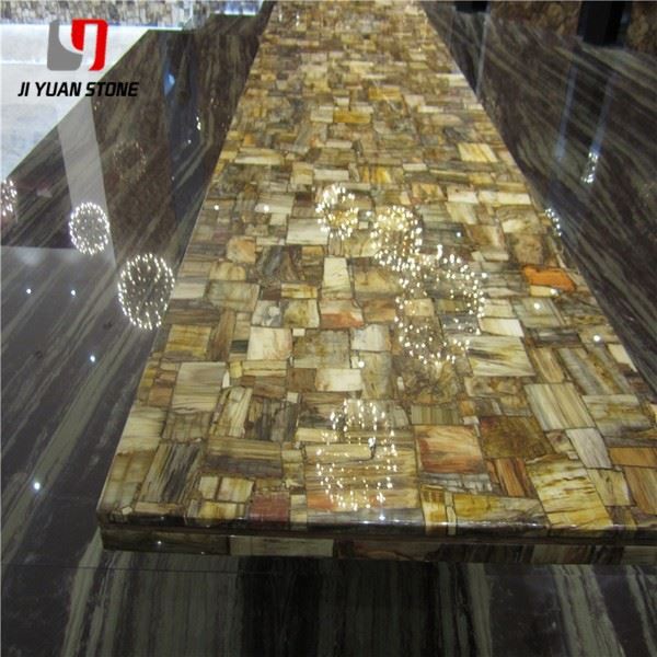 Petrified Wood Stone Slab