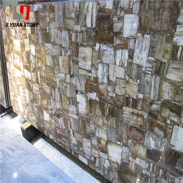 Petrified Wood Stone Slab