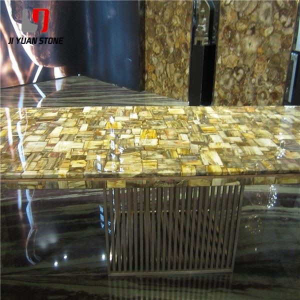 Petrified Wood Slab Countertop