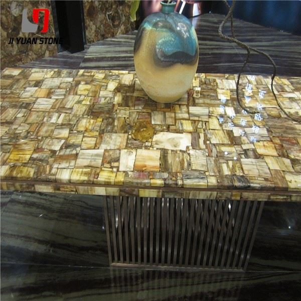Petrified Wood Slab Countertop