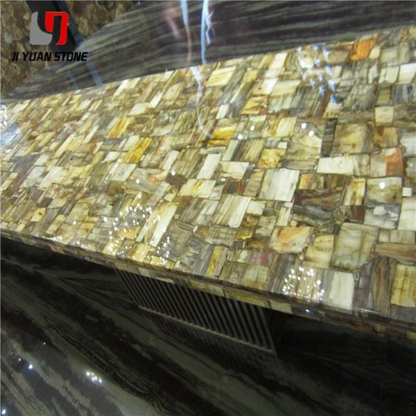 Petrified Wood Slab Countertop