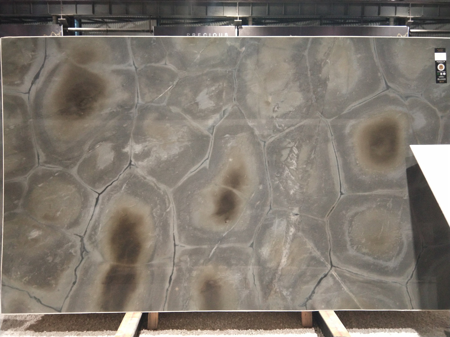 Verde Tortuga Quartzite