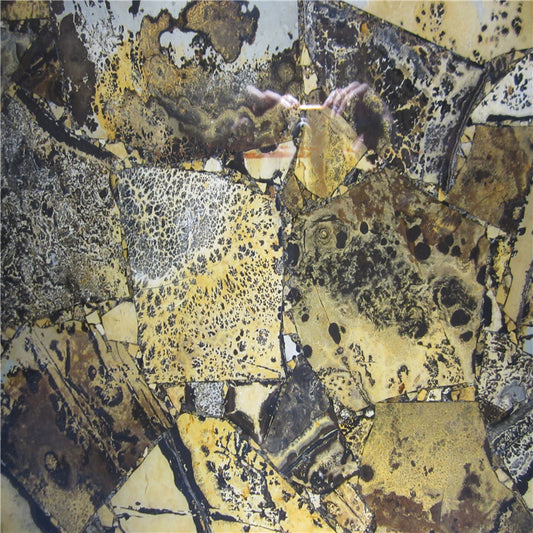 Yellow Fossils Slabs