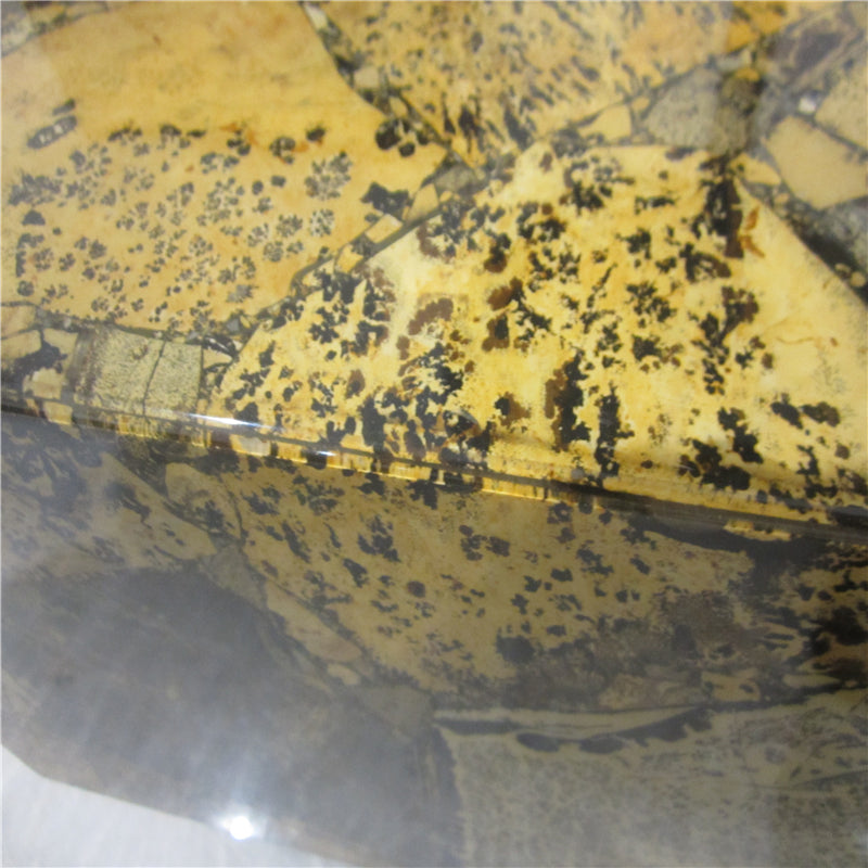 Yellow Fossils Slabs