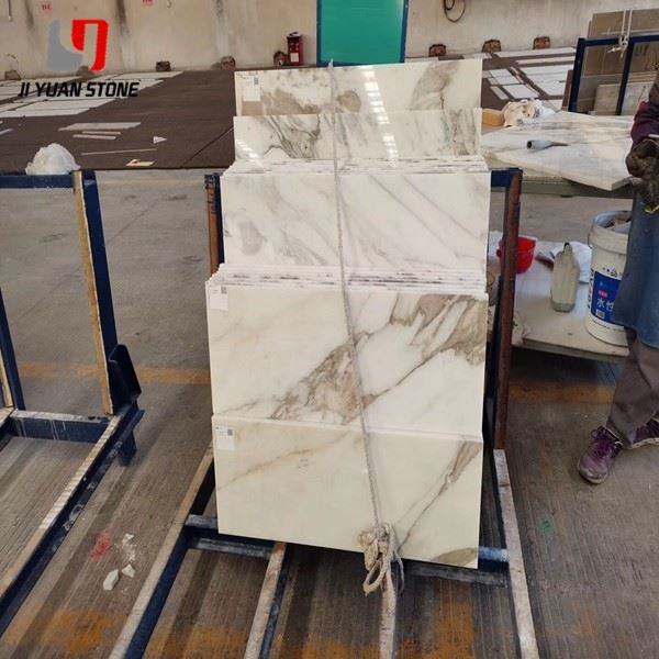 Calacatta Gold 24x24