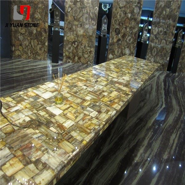 Large Petrified Wood Slab