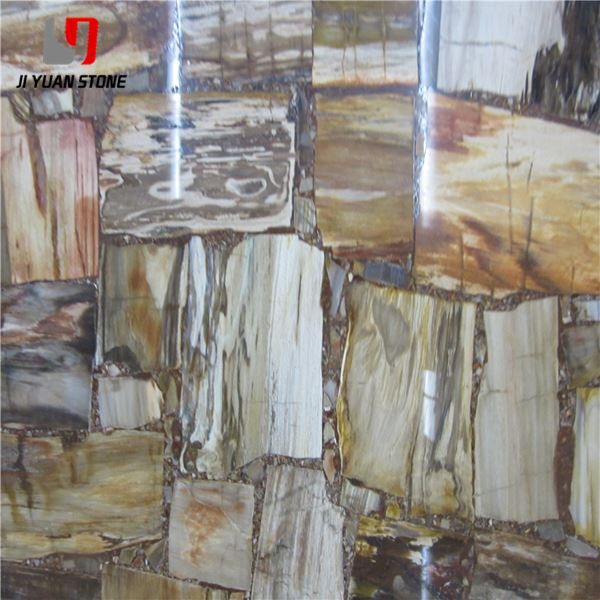 Large Petrified Wood Slab