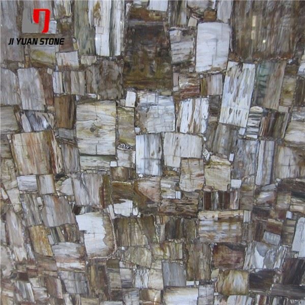 Large Petrified Wood Slab