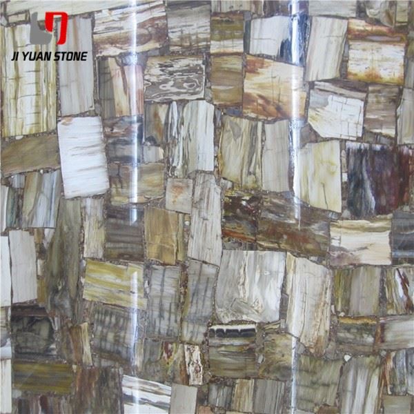Large Petrified Wood Slab