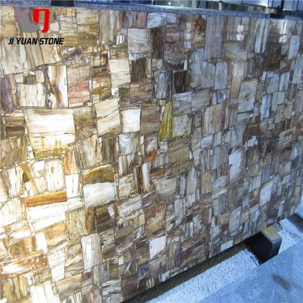 Large Petrified Wood Slab