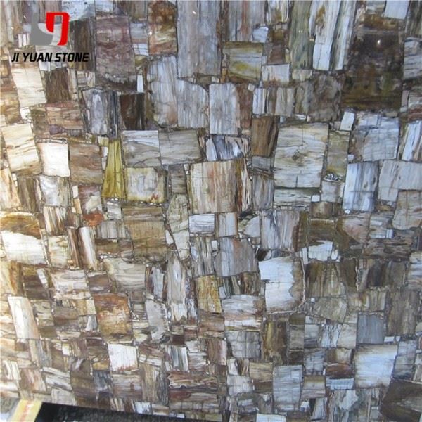 Large Petrified Wood Slab
